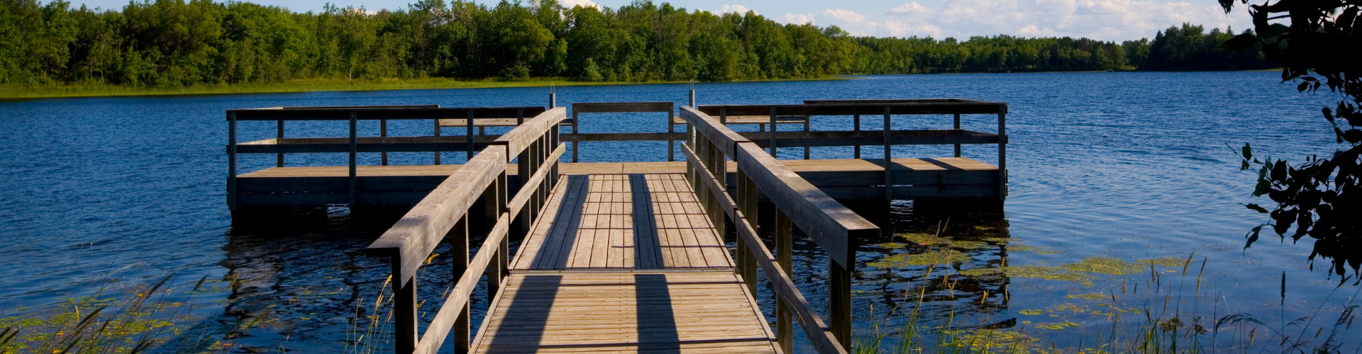 Lifeguard Certification